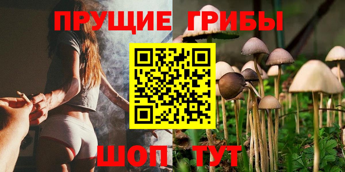 Елец  Псилоцибиновые грибы Psilocybe  что такое   Вход с VPN  Галлюциногенные грибы мухоморы 