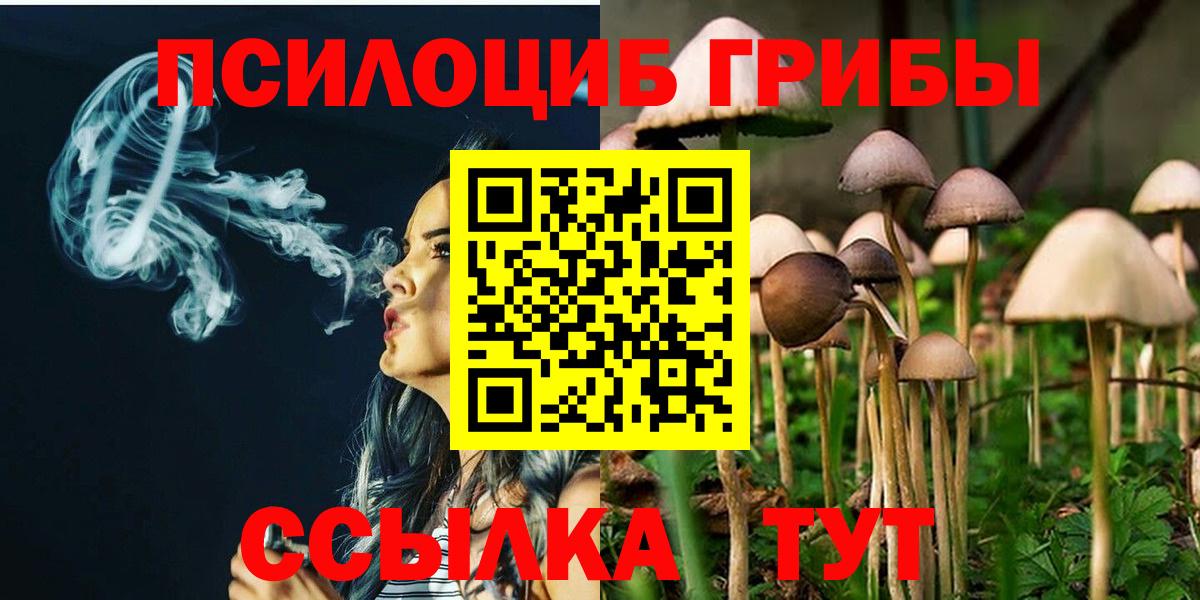 Псилоцибиновые грибы Cubensis Елец